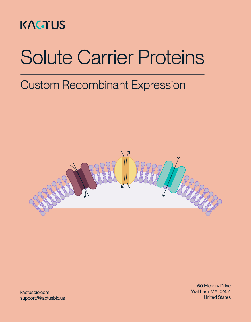 Custom SLC Proteins Brochure Cover