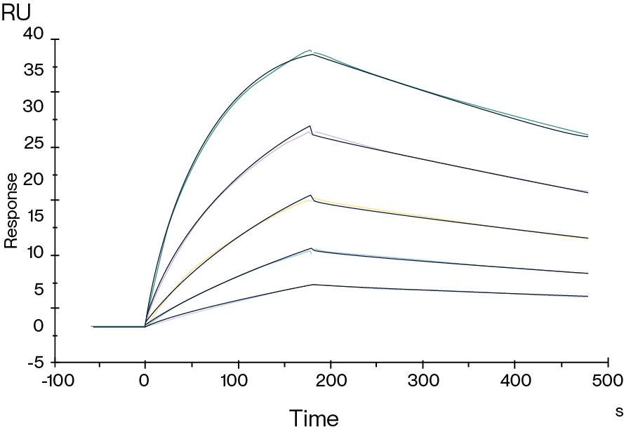 Fc gamma RI SPR Data