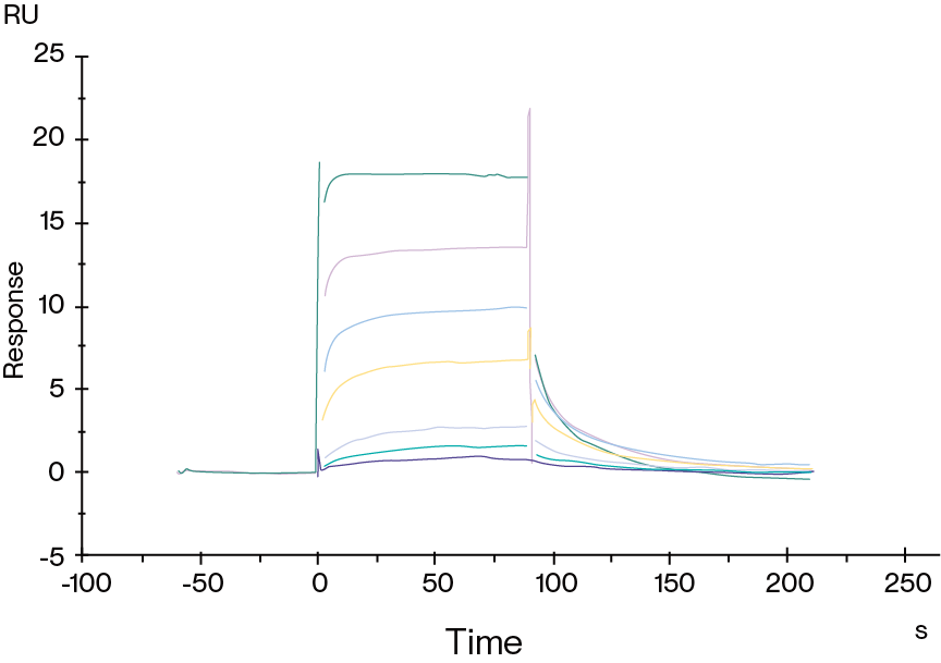 FcRn SPR Assay Data