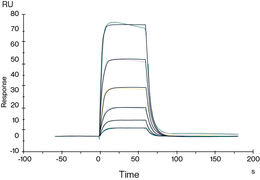 HLA-A*02:01 monomer binding to TCR SPR Data