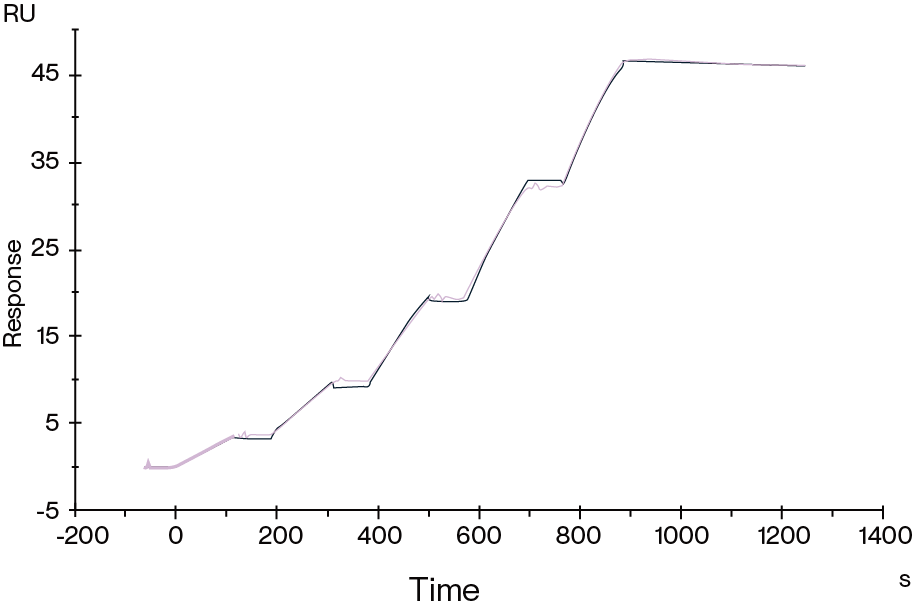 HLA-A*02:01 binding to TCR in SPR Assay Data