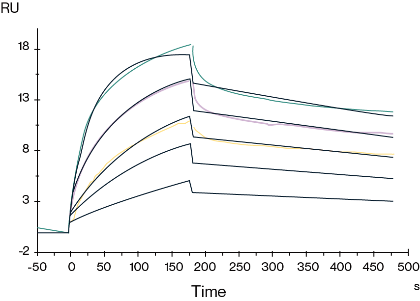 GPRC5D VLP SPR Data