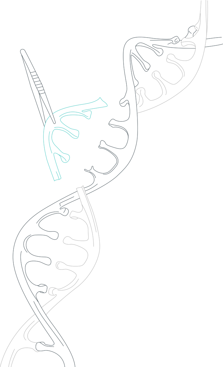 GMP Gene Editing Enzymes