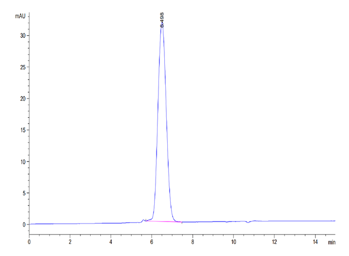 Biotinylated Human CD24 Protein (Primary Amine Labeling) (CD2-HM324B)