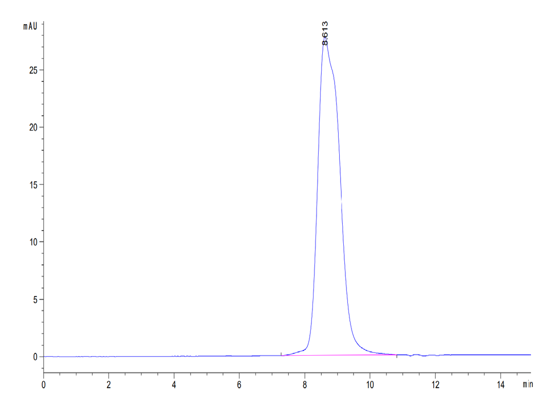 Mouse IL-13Ra1 Protein (ILR-MM1R1)