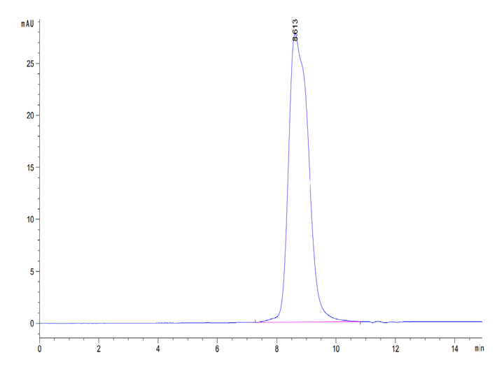 Mouse IL-13Ra1 Protein (ILR-MM1R1)