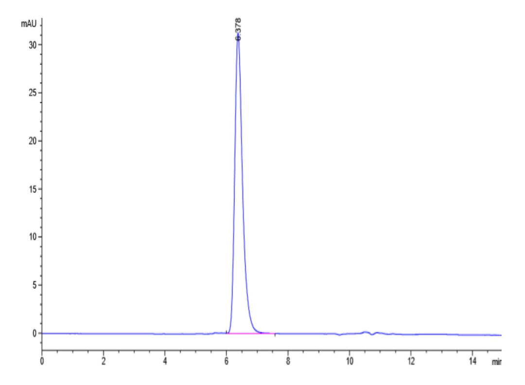 Human SIRP Gamma/CD172g Protein (SRP-HM40G)