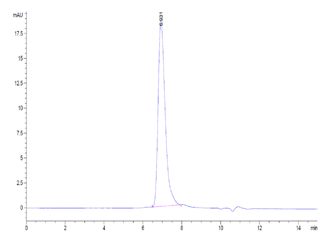 Biotinylated Human RGMa Protein (RGM-HM401B)