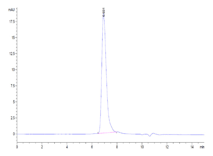 Biotinylated Human RGMa Protein (RGM-HM401B)