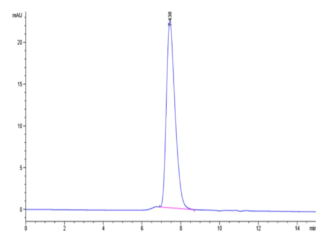 Human KIR2DL1 Protein (KIR-HM4L1)