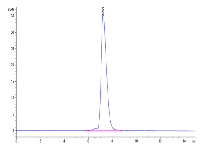 Biotinylated Human KIR2DL1 Protein (KIR-HM4L1B)