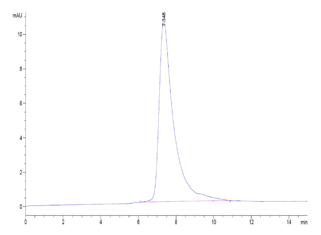 Rat TROP-2/TACSTD2 Protein (TRP-RM121)