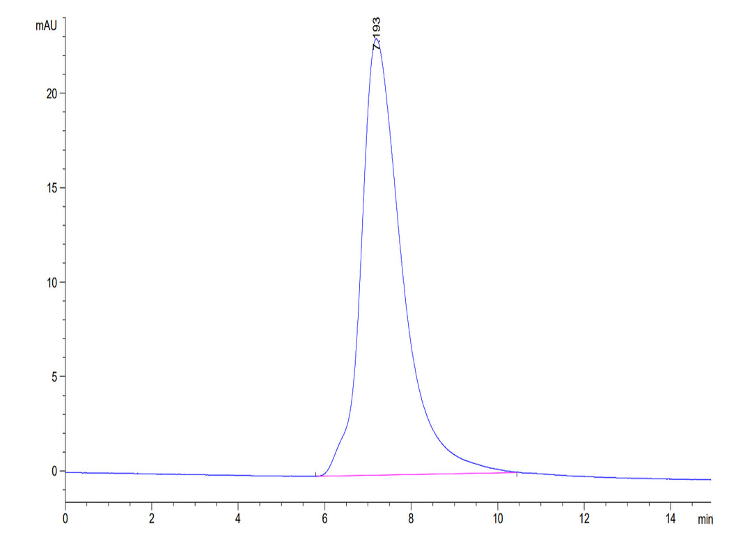 Human CD89 Protein (CD8-HM189)