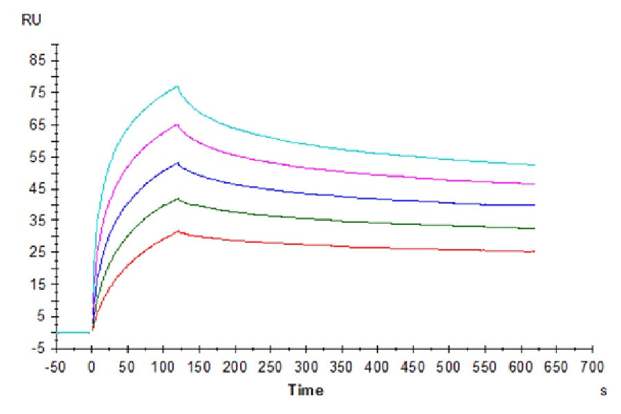 Human HLA-A*02:01&B2M&WT-1 (RMFPNAPYL) Tetramer Protein (MHC-HM431T)