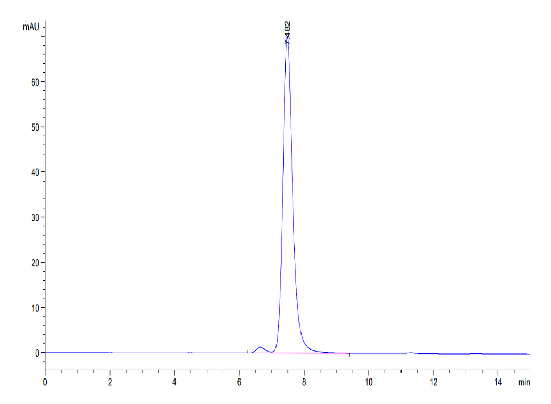 Biotinylated Human HLA-G&B2M&Peptide (RIIPRHLQL) Monomer Protein (HLG-HM41CB)