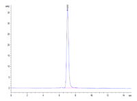 SEC-HPLC chromatogram showing a single, sharp peak at approximately 7.0 minutes, indicating high purity and monodispersity of the protein sample.