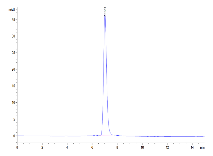 Human PTK7/CCK4 Protein (CCK-HM104)