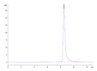 Non-biotinylated Mouse IgE Protein (IGE-MM401)