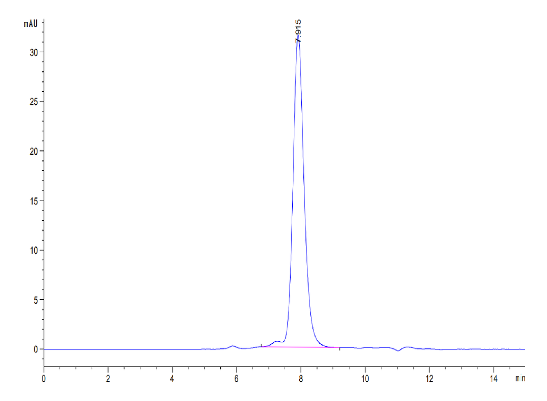 Human ALK-1/Activin RL1 Protein (ALK-HM101)