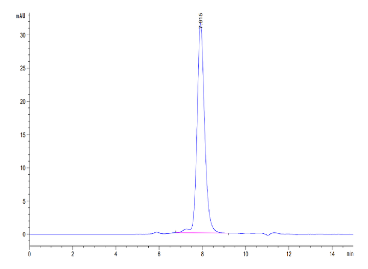 Human ALK-1/Activin RL1 Protein (ALK-HM101)