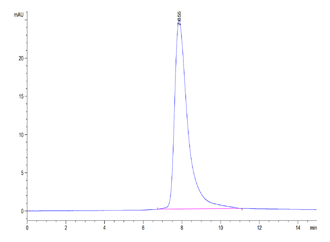 Human BTN1A1/Butyrophilin Protein (BTN-HM4A1)