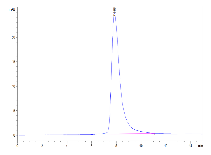 Human BTN1A1/Butyrophilin Protein (BTN-HM4A1)