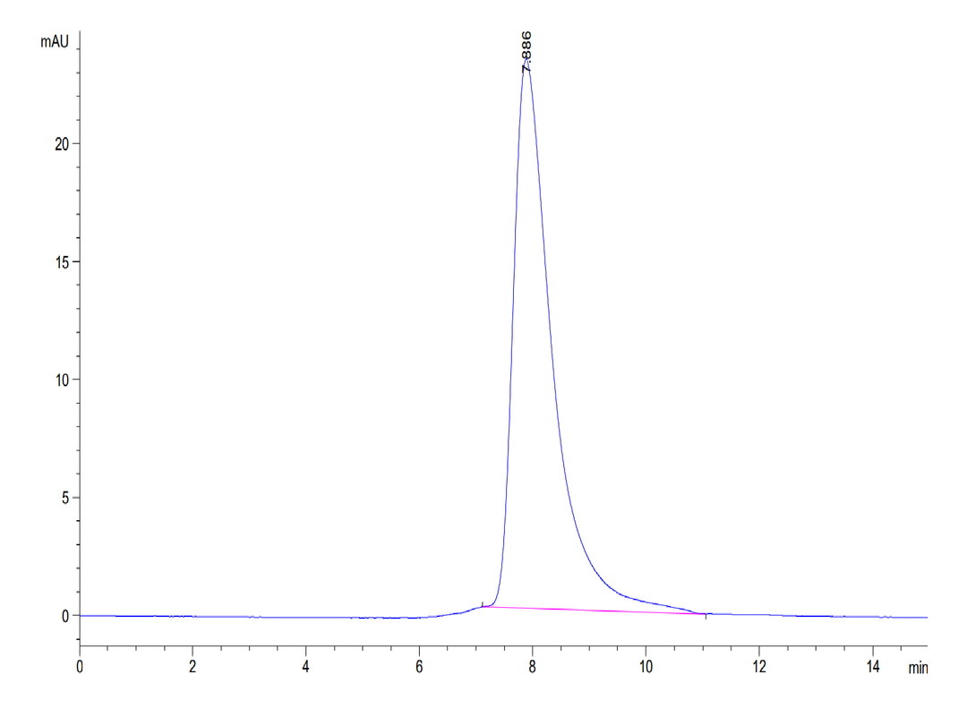 Biotinylated Human BTN1A1/Butyrophilin Protein (BTN-HM4A1B)