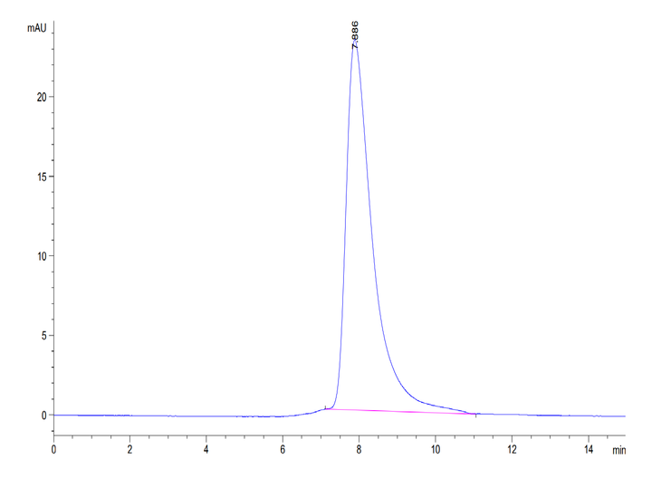 Biotinylated Human BTN1A1/Butyrophilin Protein (BTN-HM4A1B)