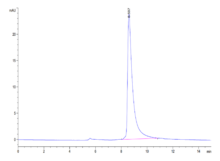 Mouse CLEC12A/MICL/CLL-1 Protein (CLE-MM12A)