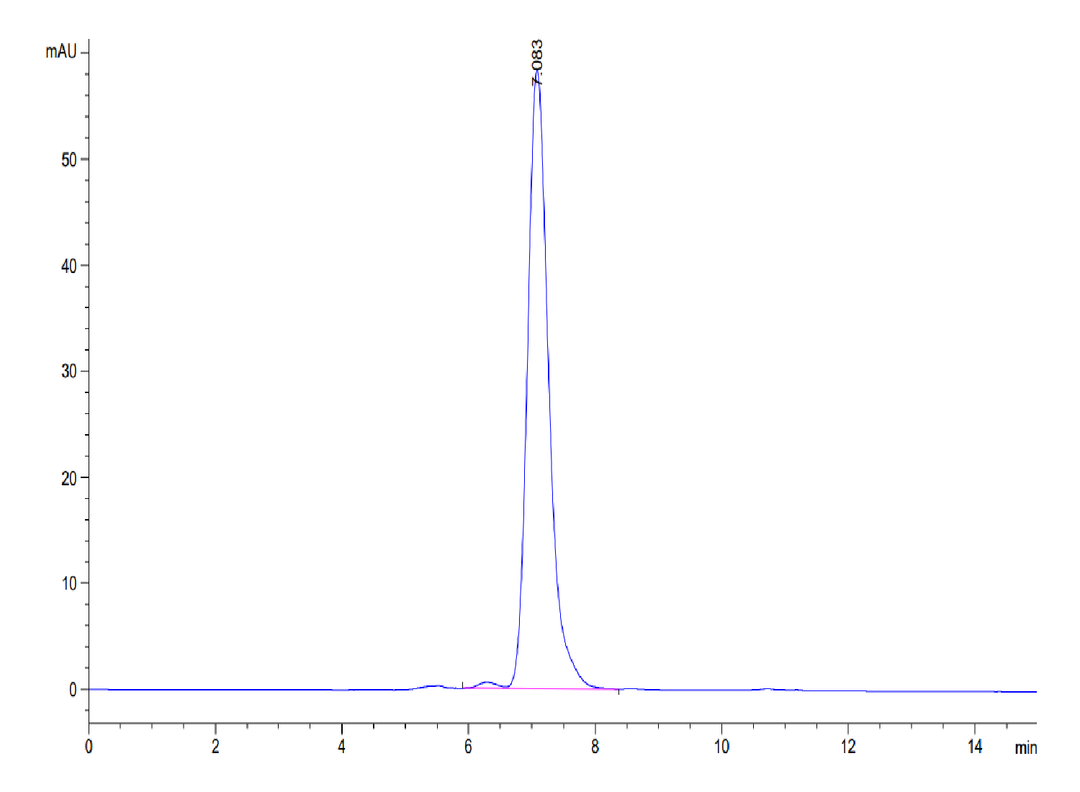 Human Ephrin-B2/EFNB2 Protein (ENB-HM201)