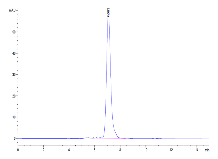 Human Ephrin-B2/EFNB2 Protein (ENB-HM201)