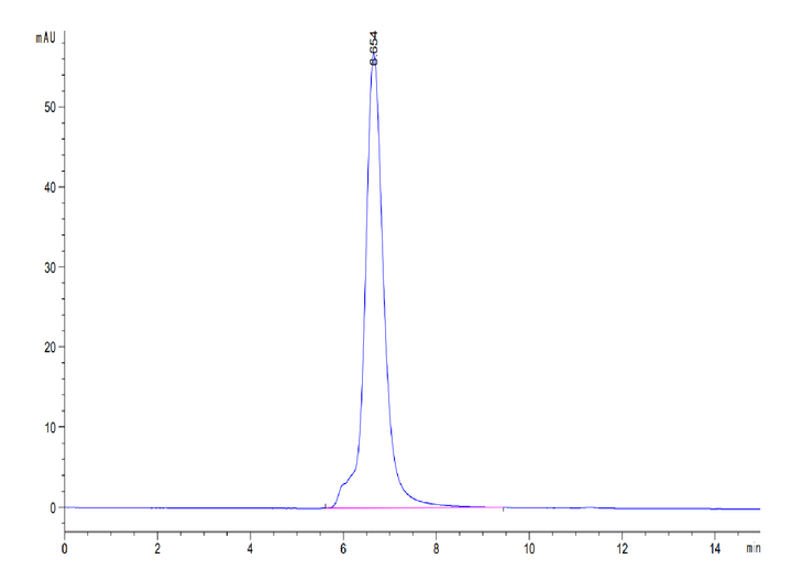 Human CD37 Protein (CD3-HM237)