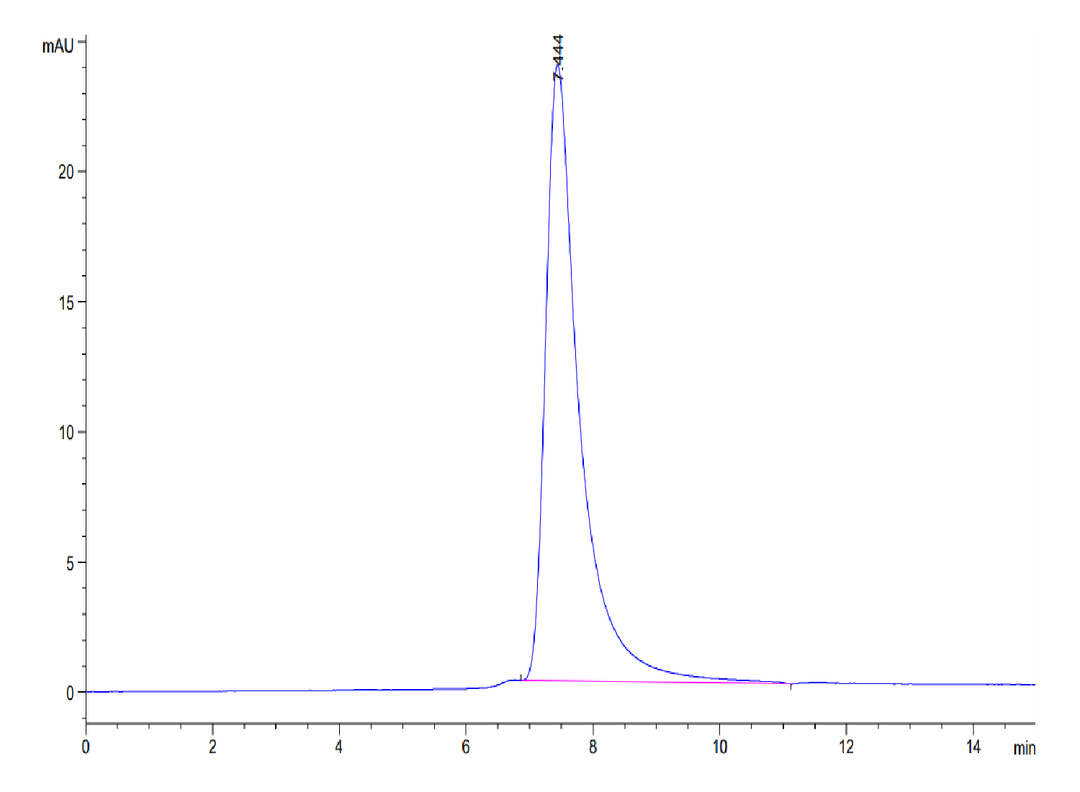 Mouse CD38 Protein (CD3-MM138)