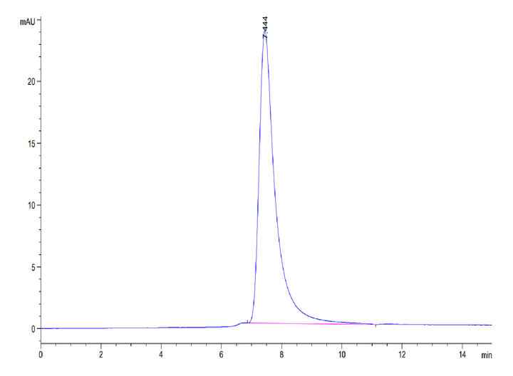 Mouse CD38 Protein (CD3-MM138)