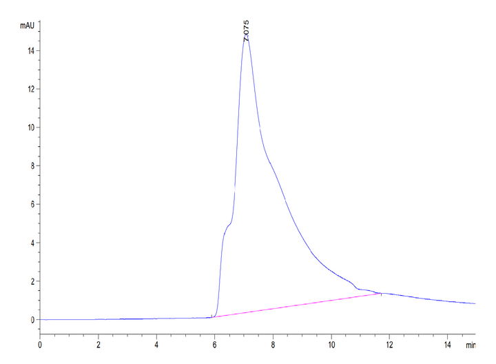 Human CLEC10A Protein (CLE-HM10A)