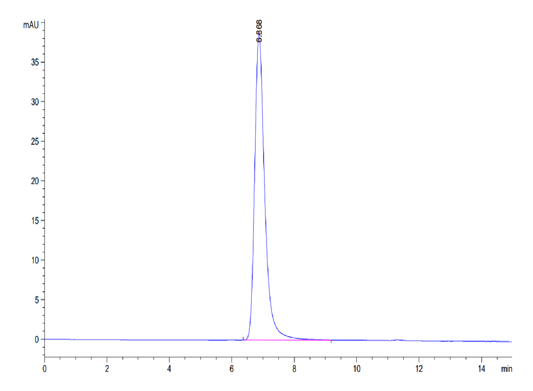 Human EphB4 Protein (EPB-HM104)