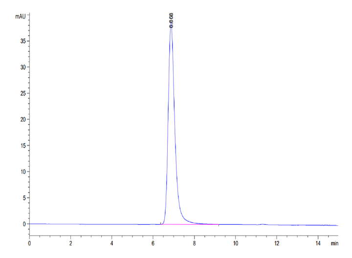 Human EphB4 Protein (EPB-HM104)