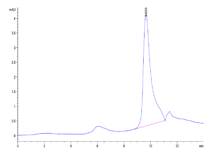 Mouse CXCL13/BCA-1 Protein (CXC-MM113)