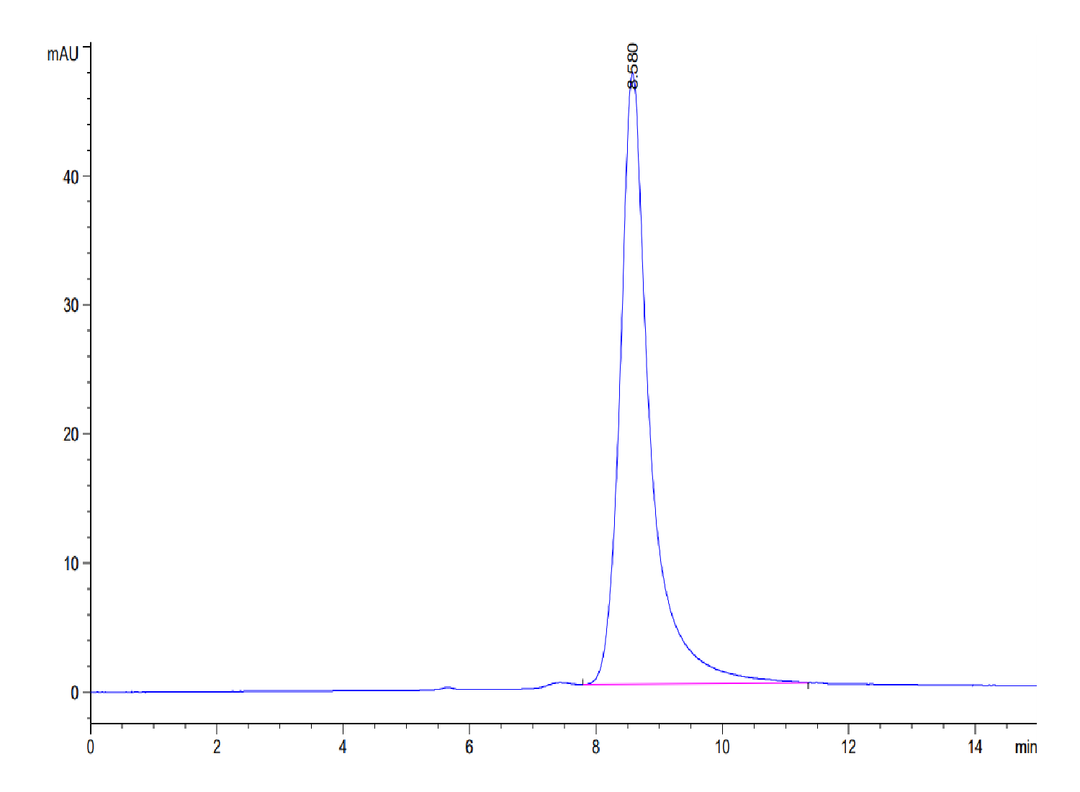 Human IL-20 Protein (IL2-HM120)