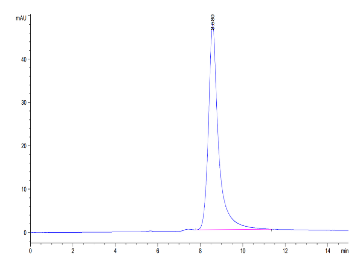 Human IL-20 Protein (IL2-HM120)