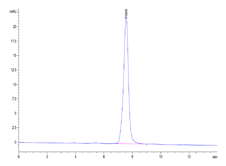 Mouse BST2 Protein (BST-MM202)