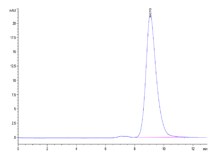 Mouse BST1 Protein (BST-MM101)