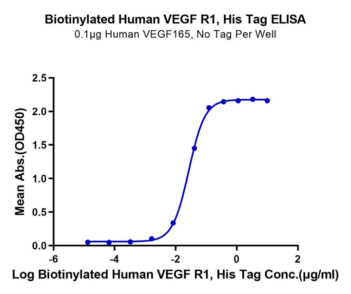 Biotinylated Human VEGF R1/FLT-1 Protein (VGF-HM4R1B)