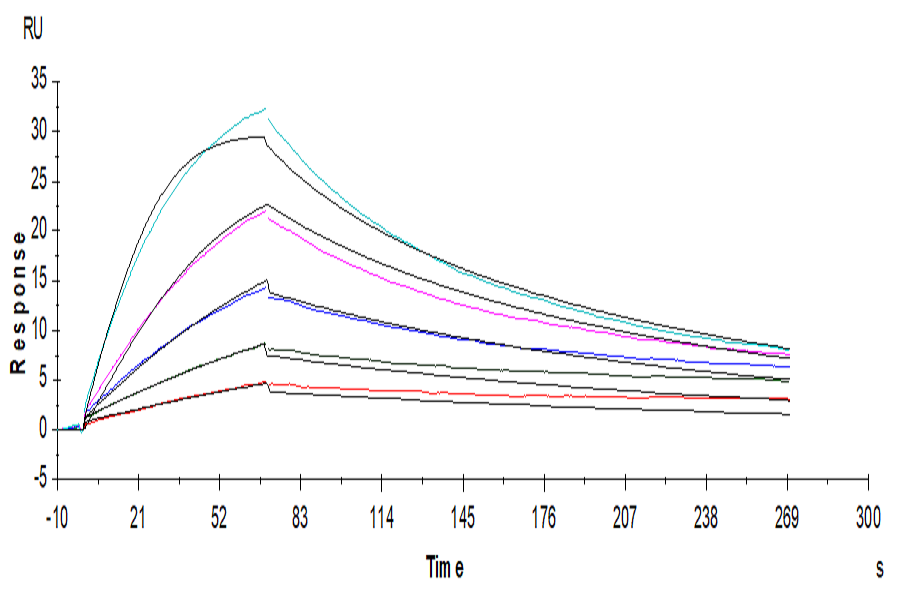 Human GM-CSF Protein (GSF-HE001)