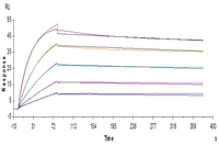 Human CDCP1 Protein (CDC-HM101)