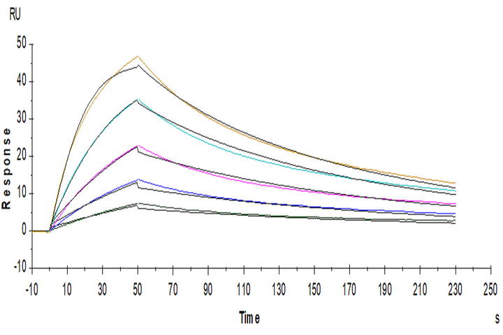 Human IL-5 R alpha/CD125 Protein (ILR-HM45R)