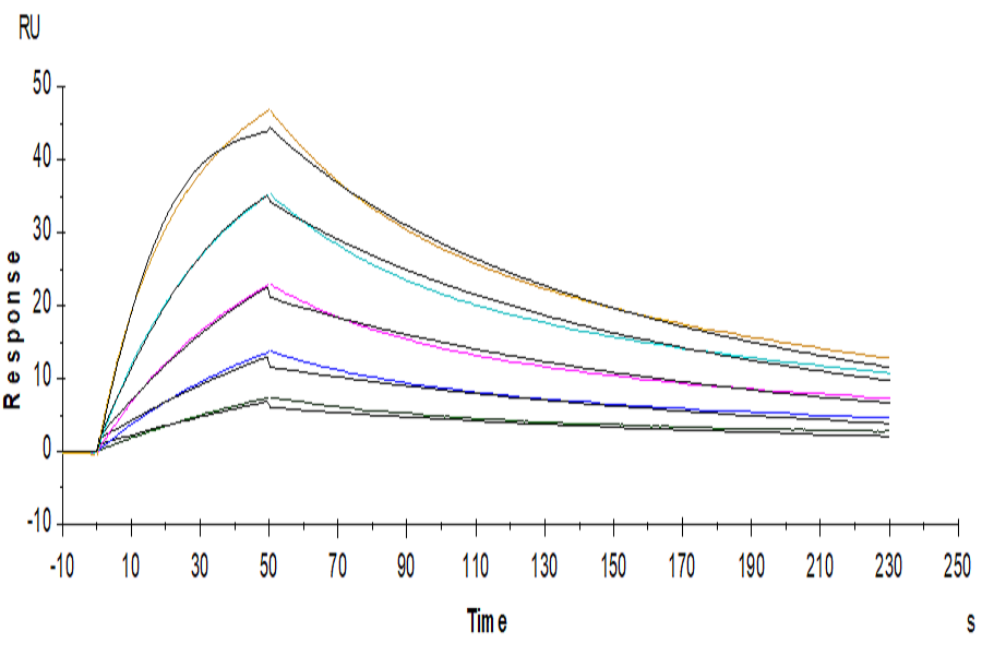 Human IL-5 Protein (IL5-HM401)