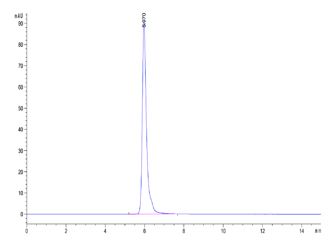 Mouse Adiponectin/Acrp30 Protein (ADI-MM201)