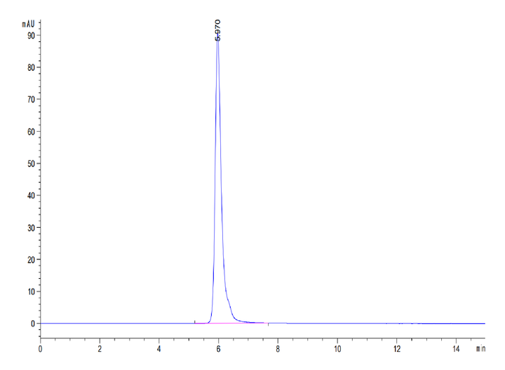 Mouse Adiponectin/Acrp30 Protein (ADI-MM201)