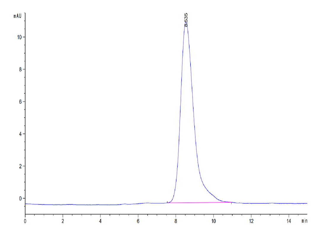 Human CD44s Protein (CD4-HM144)